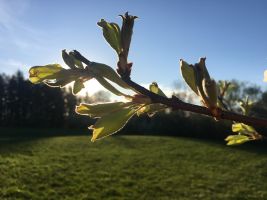 img 7033
