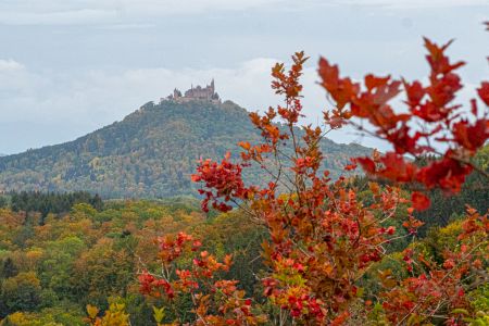 Beuren 1172944 Beuren 1172944