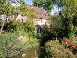Mossingen 1172277