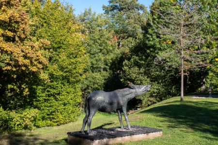 Mossingen 1172406 Mossingen 1172406