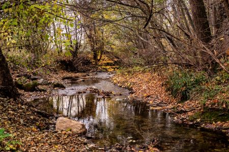 Mossingen 1177233 Mossingen 1177233