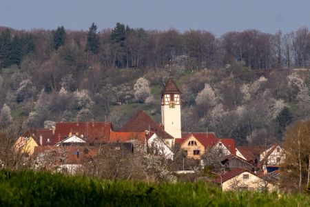 Oschingen   Kopie  2  Oschingen   Kopie  2