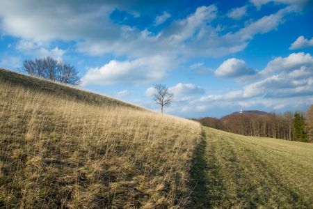2012 03 2593 IMGP7956 20120331 Rossberg 2012 03 2593 IMGP7956 20120331 Rossberg