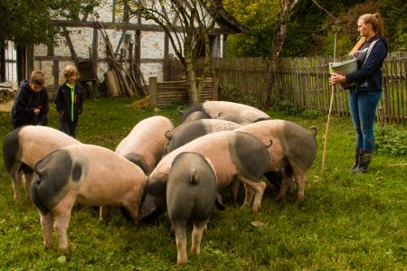 2019 109 1353 2019 109 1353