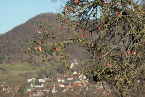Blick auf Talheimer Kirche Blick auf Talheimer Kirche