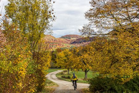Radeln Richtung Talheim Radeln Richtung Talheim