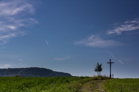 Wiesen bei Beuren Wiesen bei Beuren