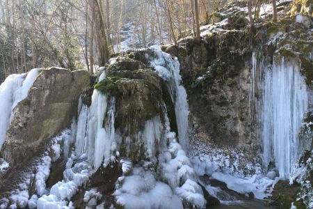 Leuprecht IMG 0681 Leuprecht IMG 0681