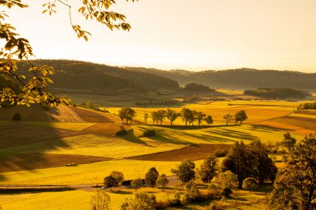 Salmendingen am Morgen DiRo 63 Salmendingen am Morgen DiRo 63