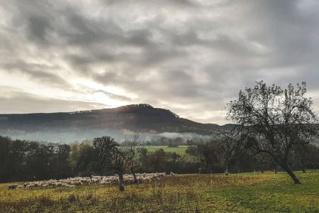 Samsung 2019.11.26 klein Samsung 2019.11.26 klein