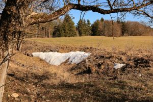 Winterverabschiedung reduziert