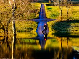 diro ma  rzensee   ausstellung  