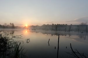 2013 07 27 M Schwenninger Moos 3294