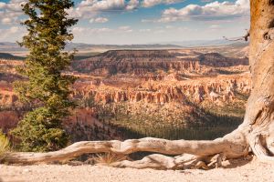 Bryce Canyon 7881