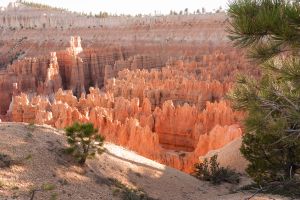 Bryce Canyon 7998