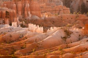 Bryce Canyon 8131