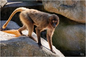 christian t.   export 2025 10 02