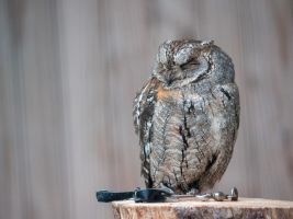 galerie bilder 