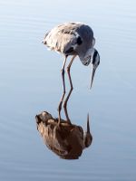 galerie bilder