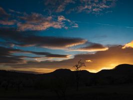 galerie bilder