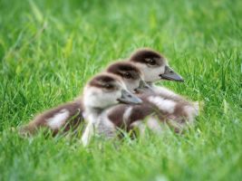 galerie bilder